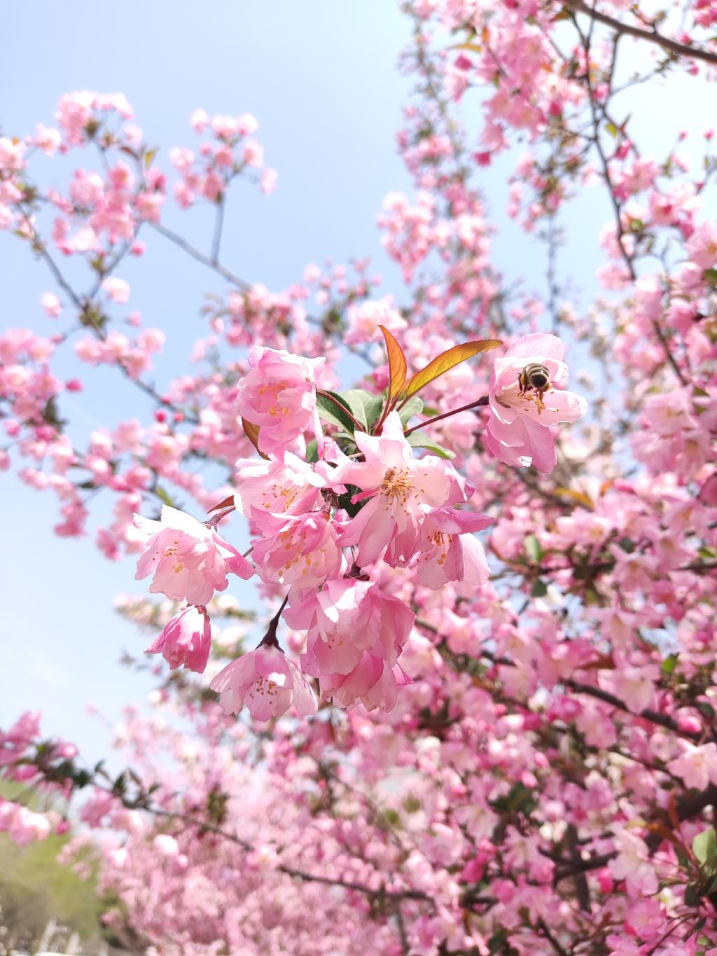 304am永利集团官网