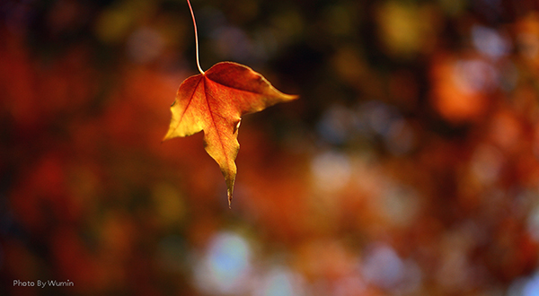 304am永利集团官网