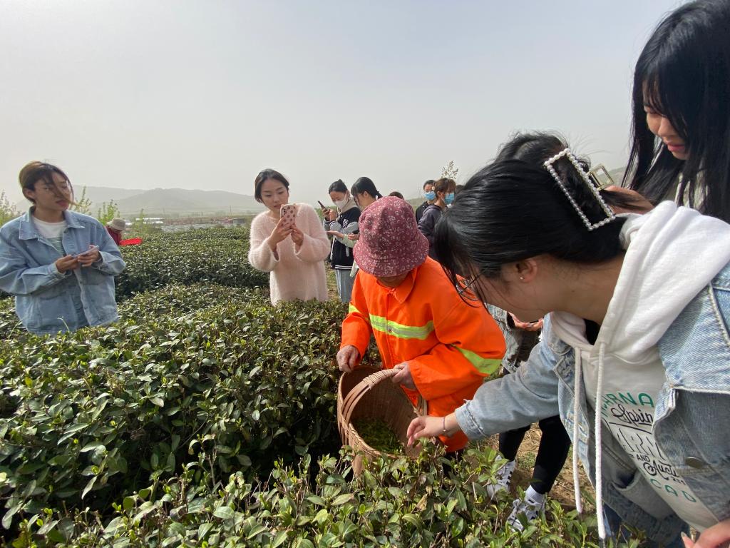 304am永利集团官网