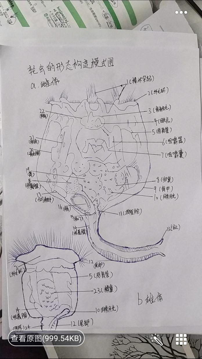 304am永利集团官网