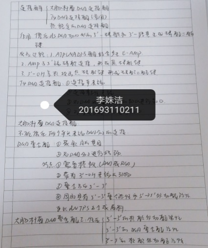 304am永利集团官网