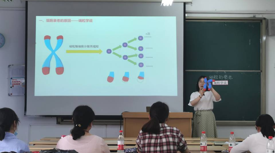 304am永利集团官网
