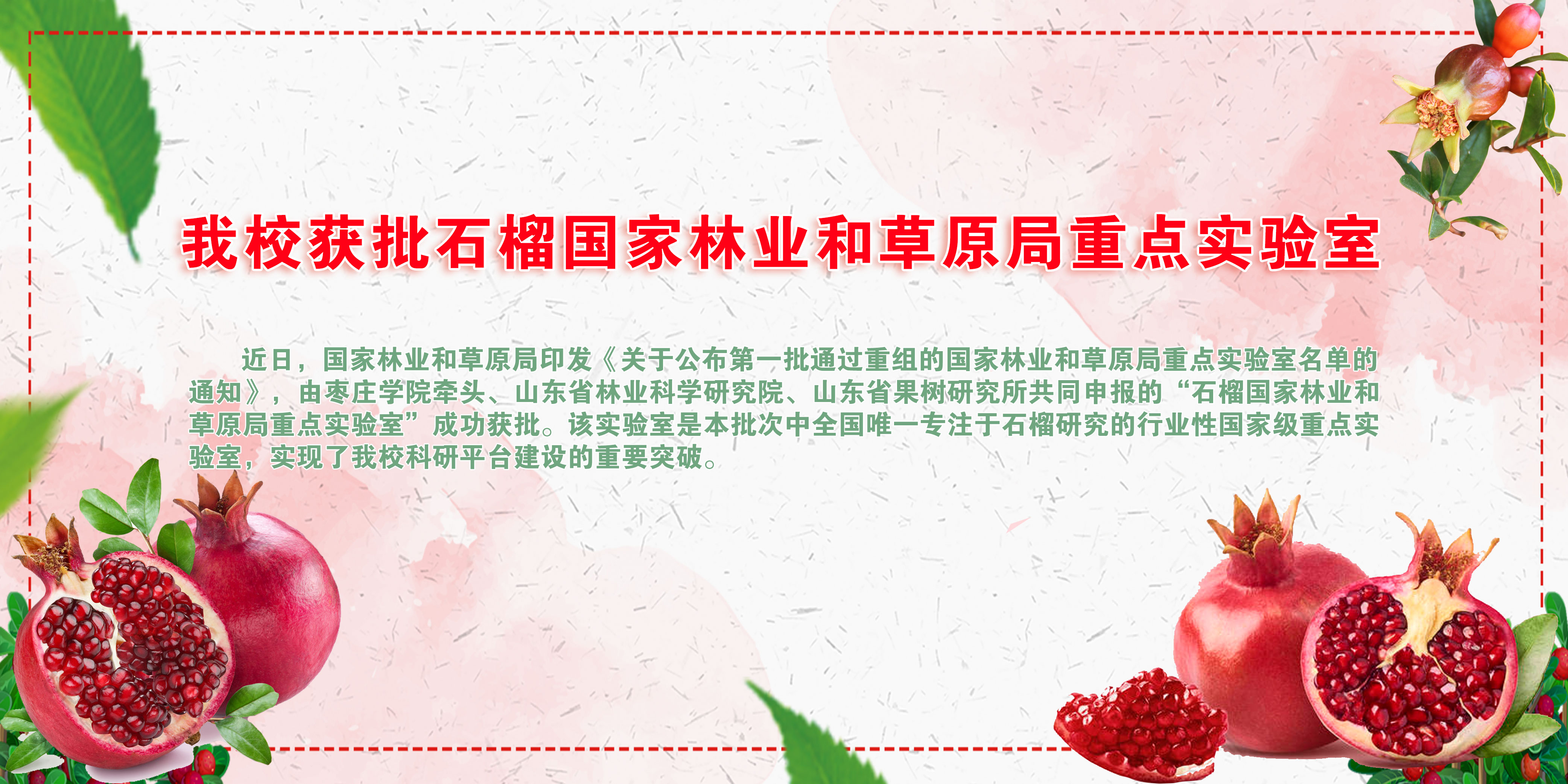 DB中国旗舰官方网站